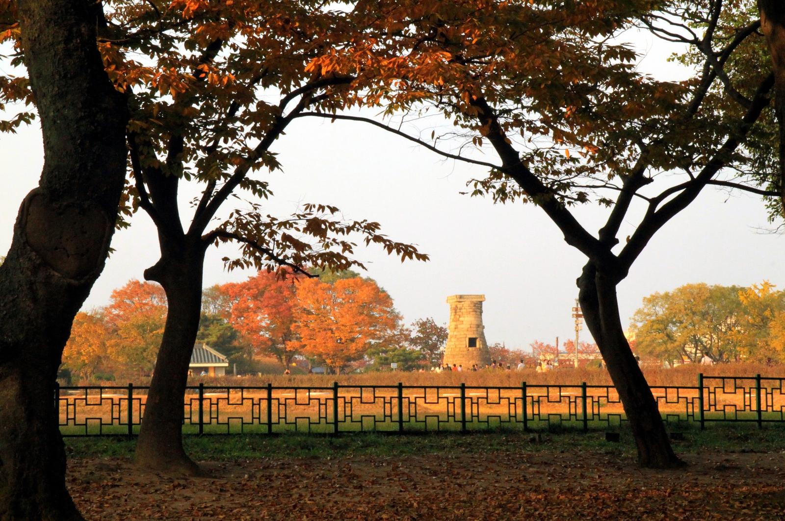 가을 첨성대_조신호(가작)
